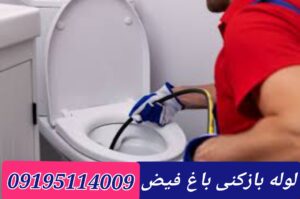 لوله بازکنی باغ فیض